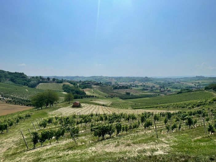 Successo per l'evento di valorizzazione della nocciola svoltosi nel ristorante 'del Profeta' Successo per l'evento di valorizzazione della nocciola svoltosi nel ristorante 'del Profeta'