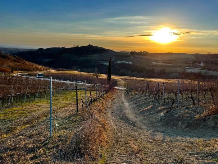 L'immagine della campagna astigiana vincitrice del nostro contest fotografico - Scatto inviato da Federica Filippello