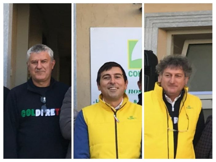 Nel collage fotografico, da sinistra a destra, il presidente di Coldiretti Asti Marco Reggio, il direttore Diego Furia e il vice direttore Luigi Franco Nel collage fotografico, da sinistra a destra, il presidente di Coldiretti Asti Marco Reggio, il direttore Diego Furia e il vice direttore Luigi Franco