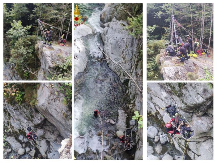 Collage fotografico dell'attività di addestramento SAF Collage fotografico dell'attività di addestramento SAF