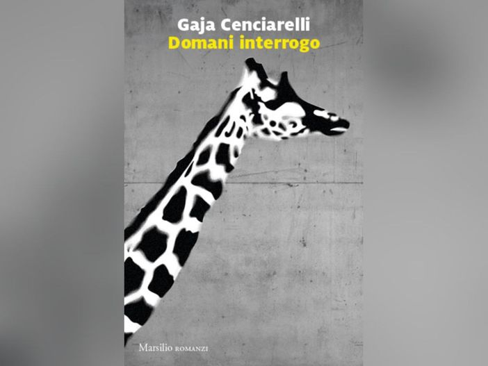 La copertina del romanzo "Domani interrogo"