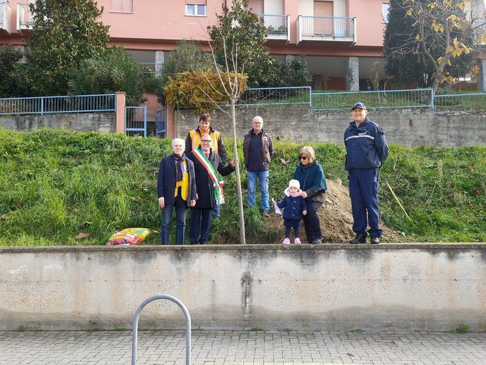 Piantati a Costigliole d'Asti 37 alberi, uno per ciascun nuovo nato Piantati a Costigliole d'Asti 37 alberi, uno per ciascun nuovo nato