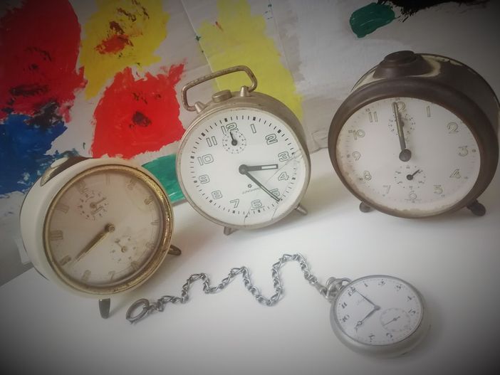 "Storie dall'alveare", una favola al giorno per i vostri bambini. Oggi "Nel regno del tempo perduto"