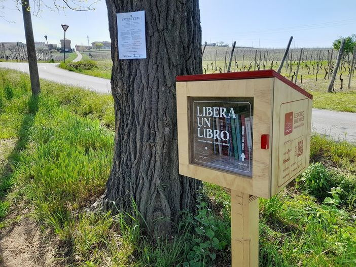Leggere Ovunque, al tempo del Salone del Libro. Eventi anche a Costigliole Leggere Ovunque, al tempo del Salone del Libro. Eventi anche a Costigliole
