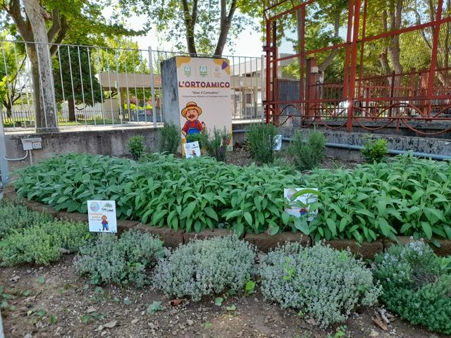 Tutte le date di marzo del Mercato Contadino di Campagna Amica Asti