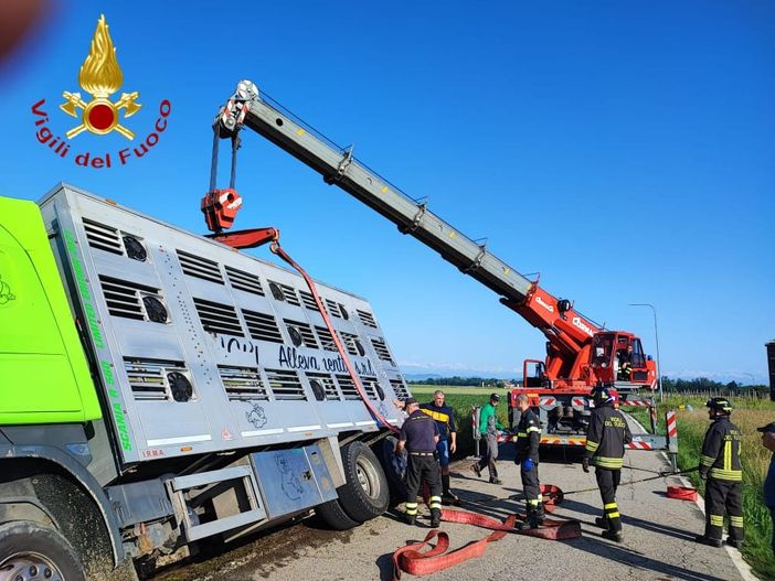 Alcune immagini (le restanti sono a fine articolo) del recupero effettuato stamattina