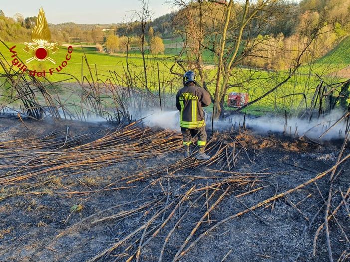 Intenso pomeriggio per i vigili del fuoco di Asti, tra incendi sterpaglie e alberi pericolanti Intenso pomeriggio per i vigili del fuoco di Asti, tra incendi sterpaglie e alberi pericolanti