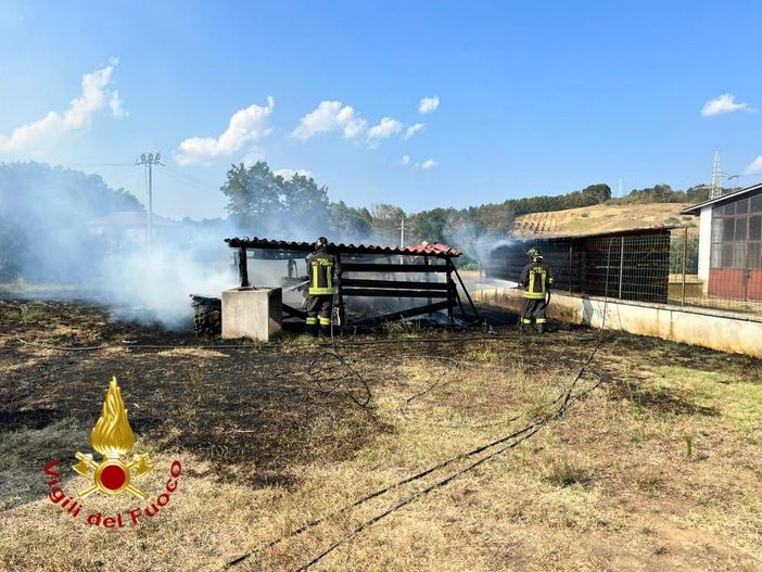 Ennesimo intervento dei vigili del fuoco per incendi di sterpaglie