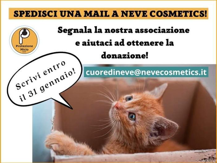 Con una semplice mail sarà possibile sostenere l'associazione Protezione Micio Con una semplice mail sarà possibile sostenere l'associazione Protezione Micio