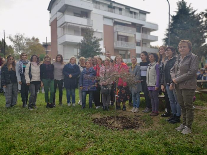 Un acero rosso alla scuola Salvo D'Acquisto Un acero rosso alla scuola Salvo D'Acquisto