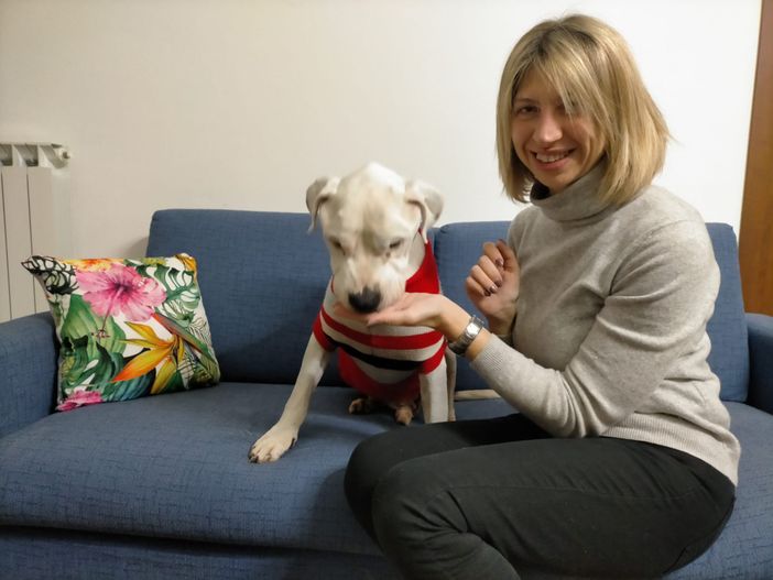 La più bella favola di Natale: Aramis, in canile da sei anni e con un tumore alla milza, è stato adottato