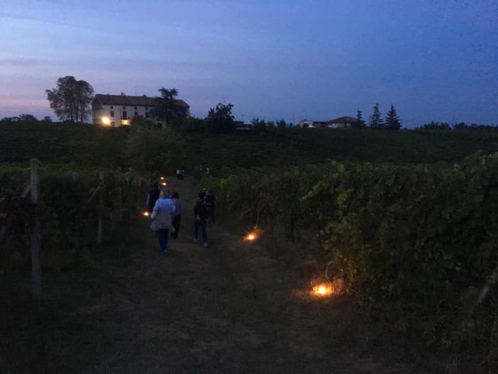 Castelnuovo Belbo, successo per la camminata notturna tra i filari patrimonio Unesco Castelnuovo Belbo, successo per la camminata notturna tra i filari patrimonio Unesco