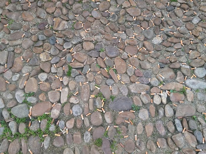 Cicche in via Milliavacca Cicche in via Milliavacca