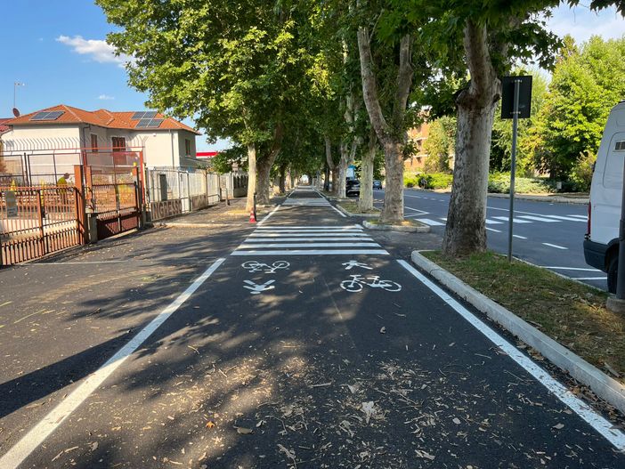 Patrimonio verde: in viale Pilone 4 platani da abbattere, 18 da potare