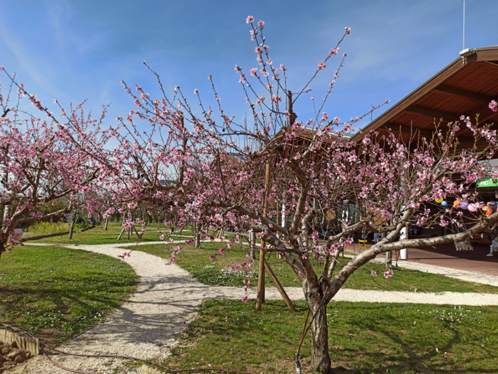A FICO una &quot;sosta gustosa&quot; per scoprire tutta l’Italia  del cibo tra attrazioni, eventi e giardini urbani