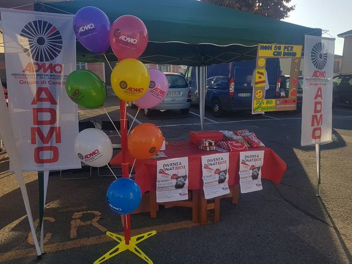 Canelli, il gazebo dell'Admo che sarà intitolato ad Alessandro Panno