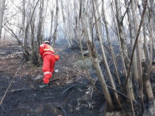 Incendi boschivi, il Piemonte invia due colonne mobili in Calabria e Sicilia