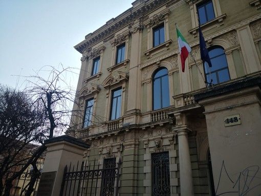 Peste suina, tra Piemonte e Liguria 53 cinghiali infetti: arriva la super barriera [VIDEO]