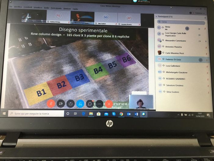 Dodici studenti del corso di Scienze viticole enologiche di Asti si sono laureati online Dodici studenti del corso di Scienze viticole enologiche di Asti si sono laureati online