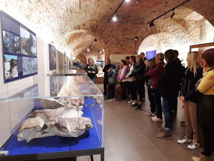 Docenti in visita al museo