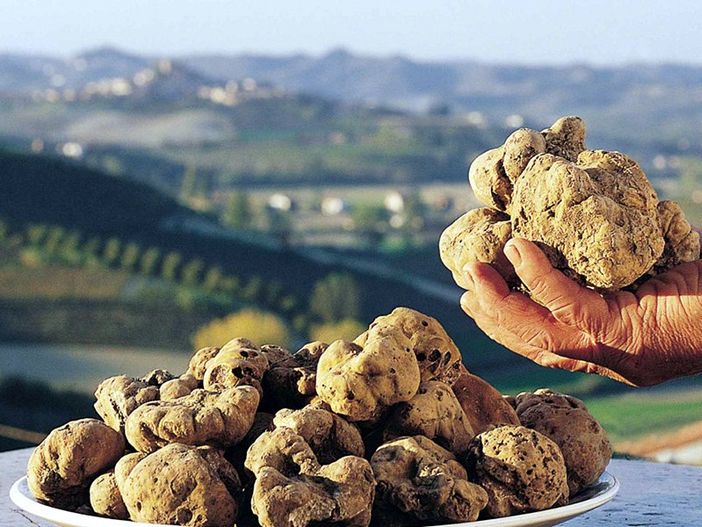 Canelli è in festa per il fine settimana dedicato alla Fiera del Tartufo
