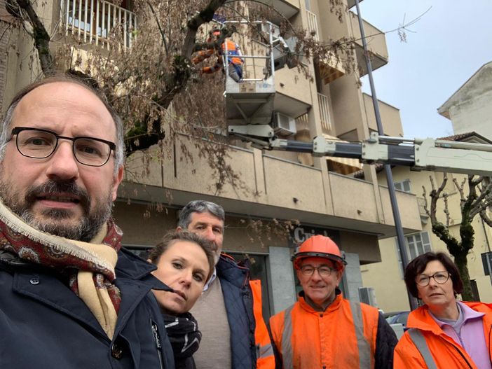 E’ iniziata la potatura delle piante lungo corso Torino, l’annuncio (social) del sindaco Rasero