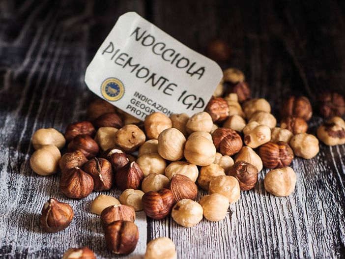 Coldiretti: si sta chiudendo un’annata difficile per le nocciole Coldiretti: si sta chiudendo un’annata difficile per le nocciole