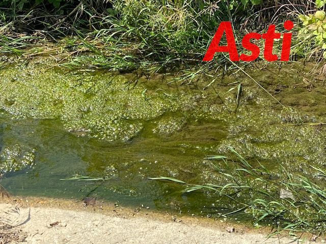 Ecco le condizioni in cui viviamo noi, residenti di strada ragazzi del ‘99