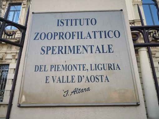 Istituto Zooprofilattico, il Piemonte "cede" a Liguria e Valle d'Aosta: avviso per cercare il nuovo direttore Istituto Zooprofilattico, il Piemonte "cede" a Liguria e Valle d'Aosta: avviso per cercare il nuovo direttore