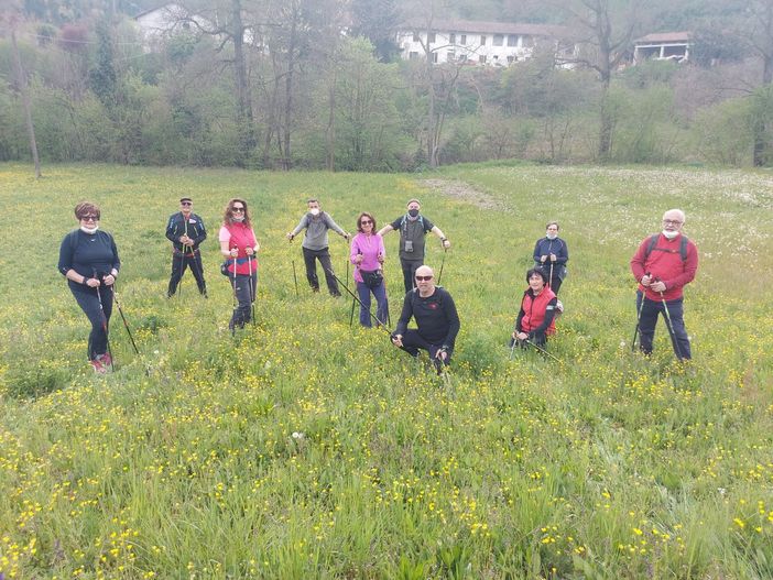 Immagine di archivio Immagine di archivio