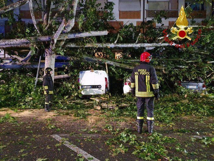 Maltempo di agosto: la Provincia chiede lo stato di emergenza Maltempo di agosto: la Provincia chiede lo stato di emergenza