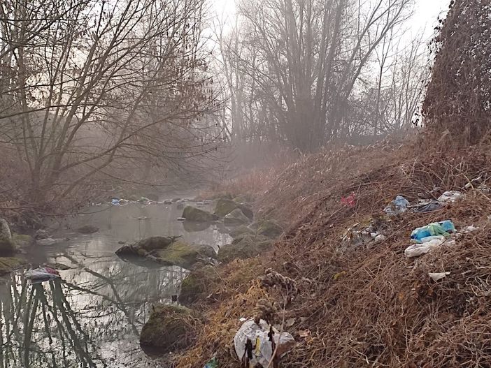 Volontari della Protezione civile di Asti sul Versa per abbattimento piante [FOTO]