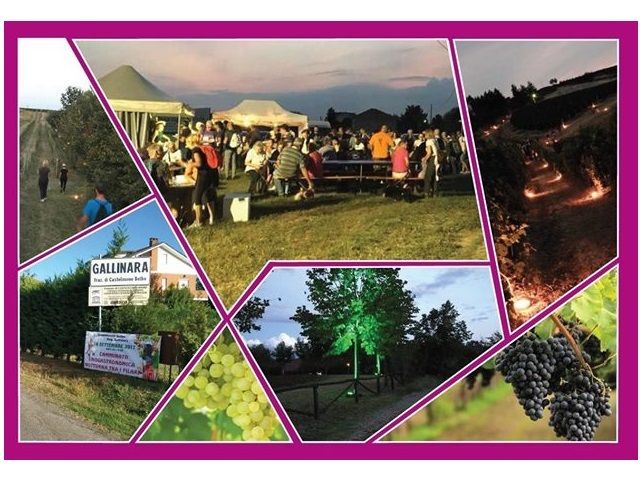 A Castelnuovo Belbo camminata notturna tra i filari patrimonio Unesco