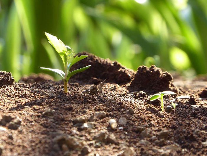Questa sera, sabato 15 dicembre a San Damiano la cena solidale del tour “La Buona Terra”
