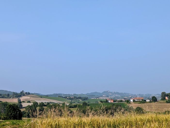 &quot;Il cinema in vigna&quot; a Tuffo: una serata tra film e vino sotto le stelle