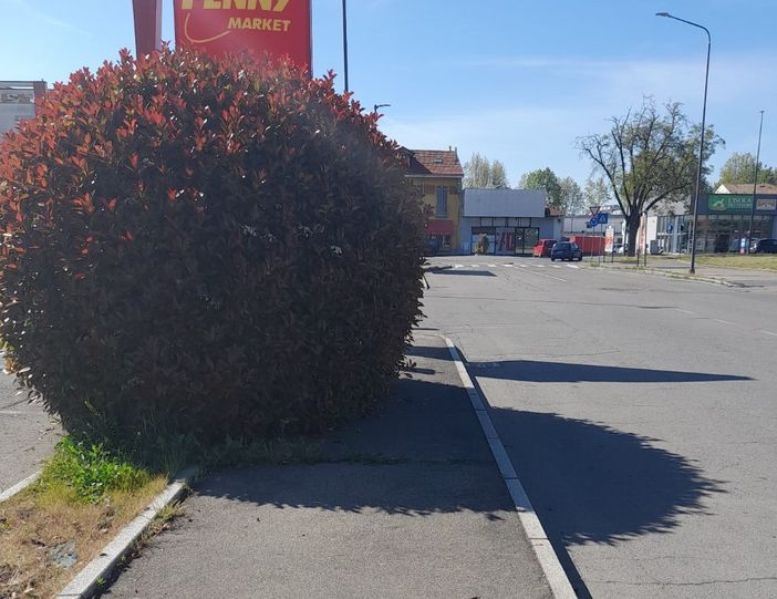 La siepe di via Monti che crea difficoltà al passaggio dei pedoni