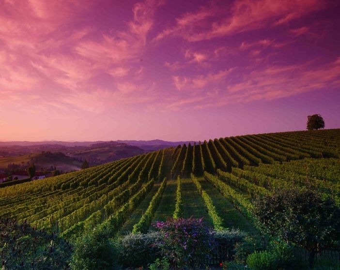 In certi posti anche il cielo vira ai colori del vino (pH  Mauro Parmesani) In certi posti anche il cielo vira ai colori del vino (pH  Mauro Parmesani)