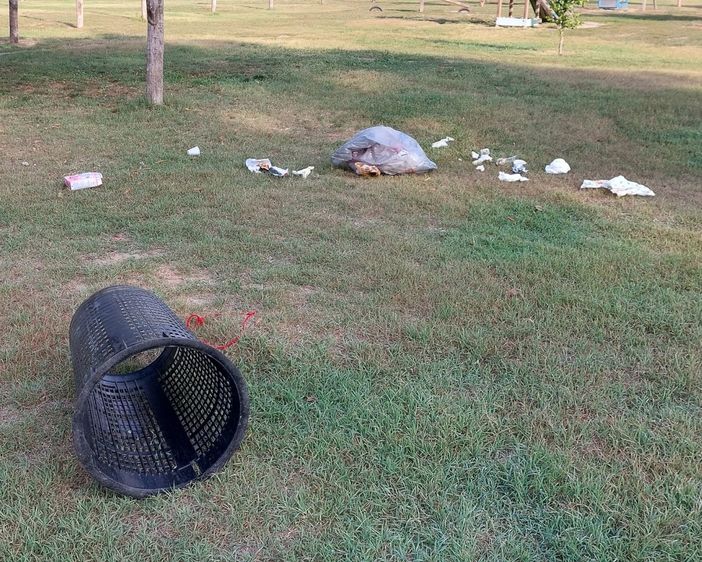 Parco del Borbore vandalizzato o preda di cinghiali?