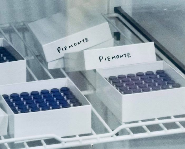 Oggi in Piemonte sono arrivate 57mila dosi di vaccino Pfizer per adulti