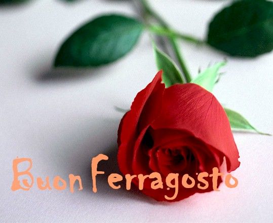 Raccontateci il vostro Ferragosto attraverso le immagini