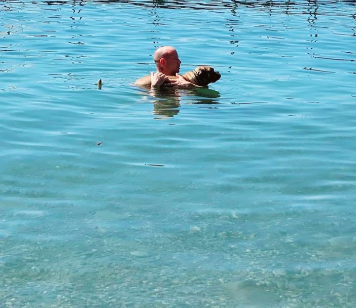 Imai, la rinascita del boxer di due anni. Da una discarica in Sardegna, all'affetto ritrovato in Piemonte