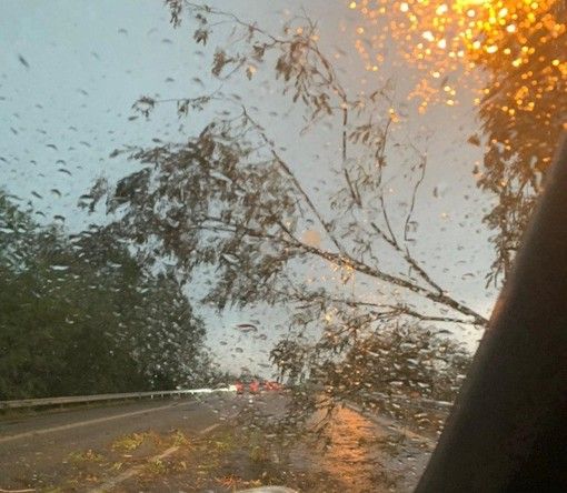 Foto tratta dal canale Telegram di Dati Meteo Asti