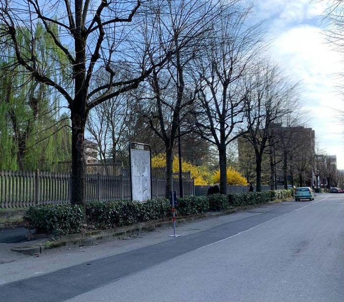 Asti: in corso lavori primaverili sul verde urbano Asti: in corso lavori primaverili sul verde urbano