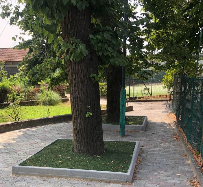 Ambiente, Miroglio: "Nella scelta dei siti sportivi evitiamo di sacrificare alberi" Ambiente, Miroglio: "Nella scelta dei siti sportivi evitiamo di sacrificare alberi"