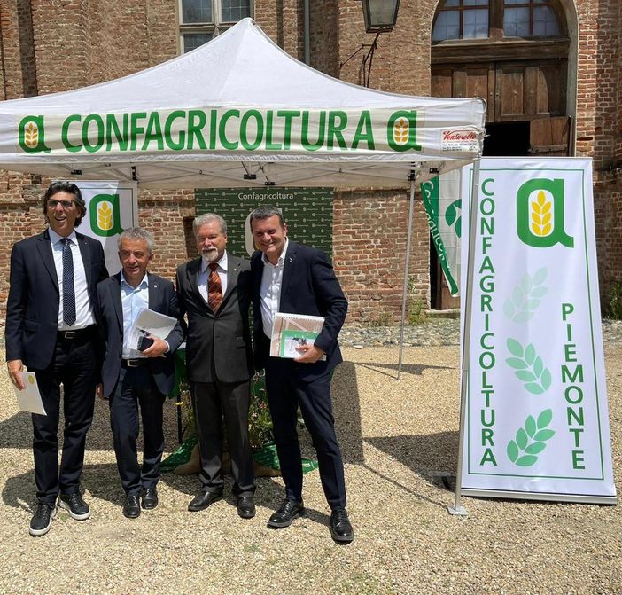 Oggi è la Giornata mondiale delle api, Confagricoltura Piemonte ne ha riflettuto a Stupinigi