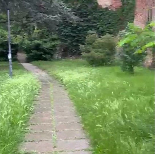 &quot;Causa erba altissima, il Boschetto dei partigiani rischia di diventare... un bosco&quot; [VIDEO]