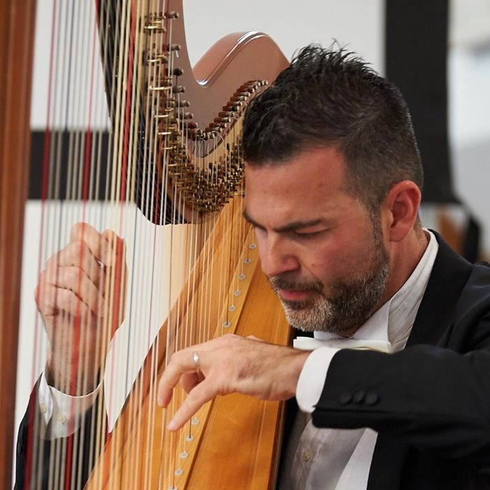 Davide Burani (Ph Festival nazionale arpa)