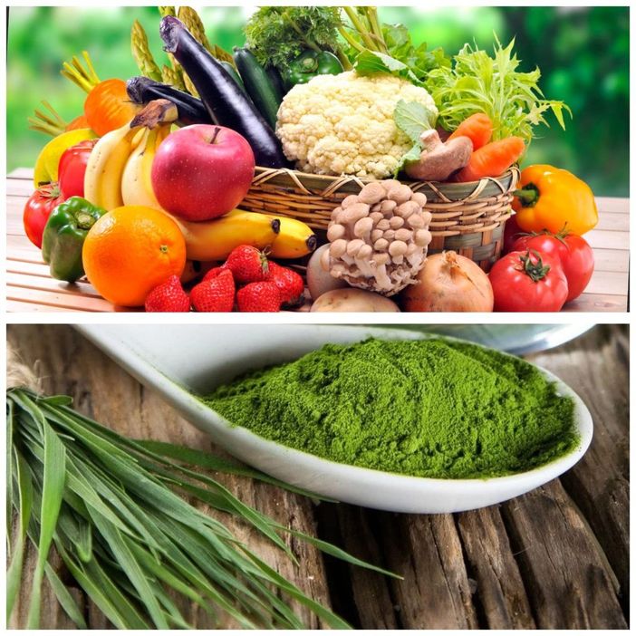 Alimentazione e integrazione: alcuni consigli per ricominciare con un carico di energia Alimentazione e integrazione: alcuni consigli per ricominciare con un carico di energia