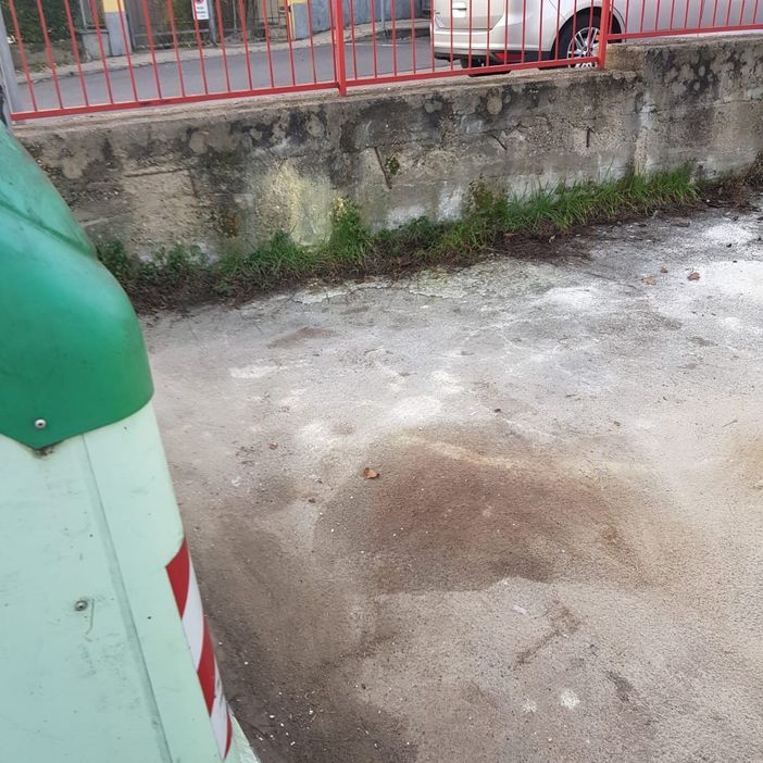 L'area ripulita L'area ripulita