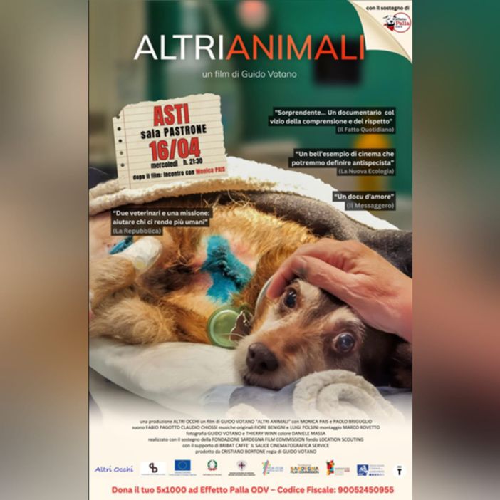 Torna ad Asti la super veterinaria Monica Pais per presentare il docufilm girato nella clinica veterinaria più famosa d'Italia, la Duemari di Oristano [TRAILER]